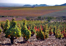 Palacios Remondo La Montesa Vineyard Winery Image
