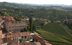 Gaja GAJA Estate and Barbareso Vineyards Winery Image