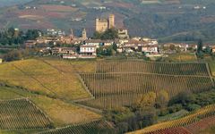 Gaja Sperss Vineyard Winery Image