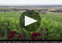 Champagne Bollinger Winery Video