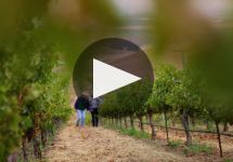 Wente Vineyards Family Owned and Certified Sustainable Winery Video
