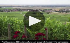 Champagne Bollinger Winery Video