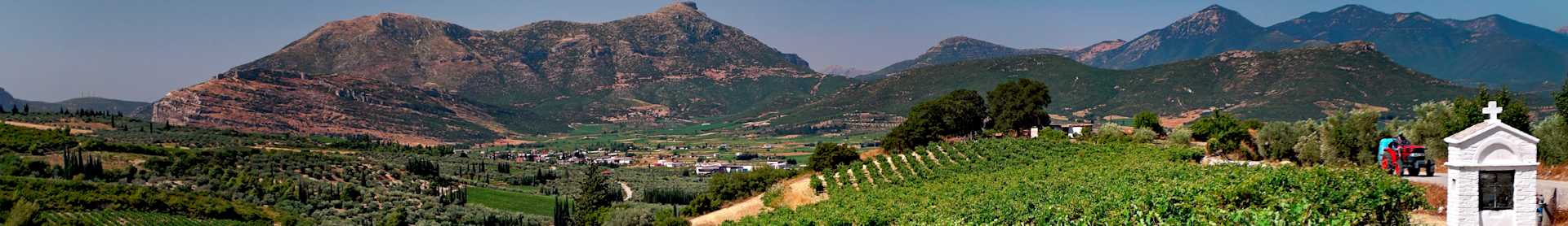 Image for Other Peloponnese Wine Greece content section