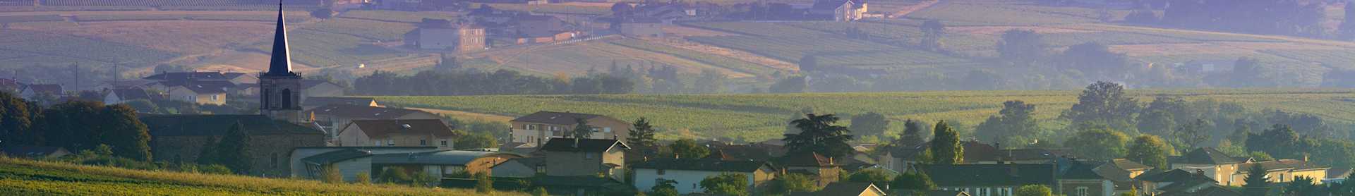 Image for Chablis Burgundy, France content section