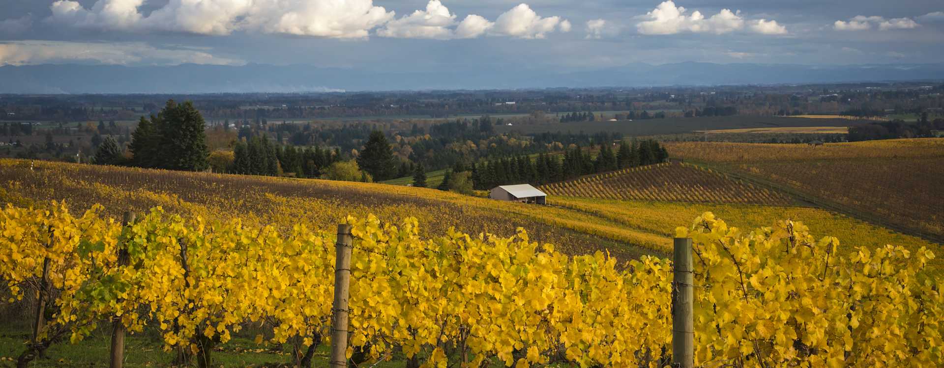 Image for Rogue Valley Wine Oregon content section