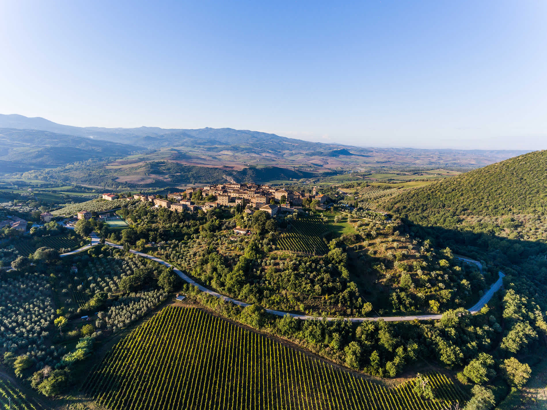 Image for Montalcino Wine Tuscany, Italy content section