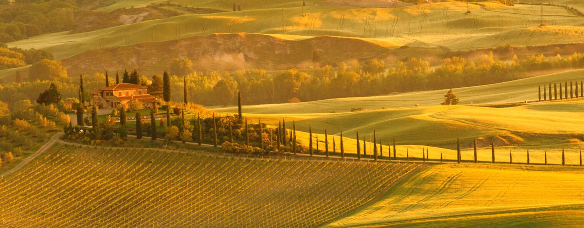 Image for Carmignano Wine Tuscany, Italy content section