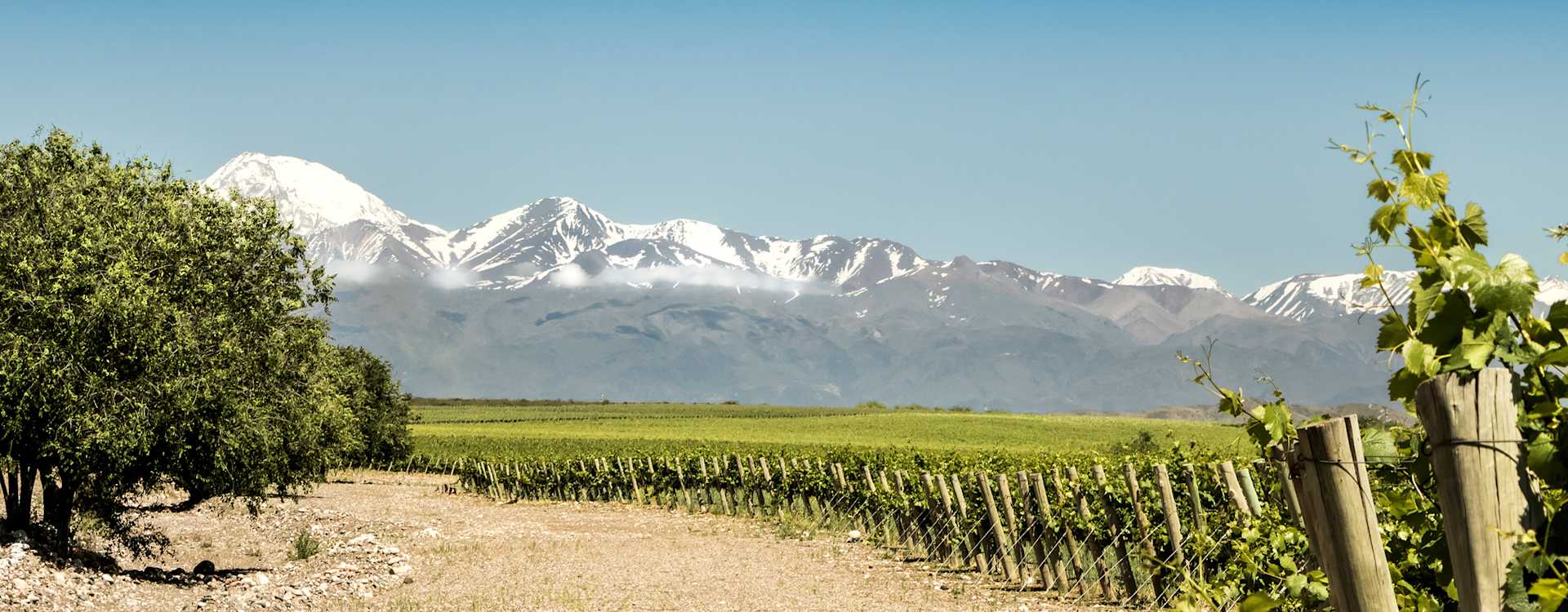 Image for Argentina Malbec content section