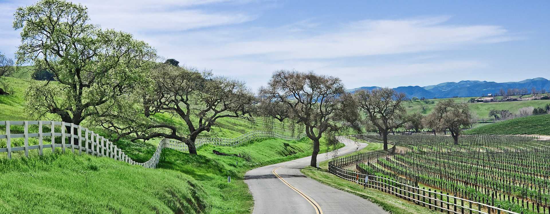 Image for Virginia Wine U.S. content section