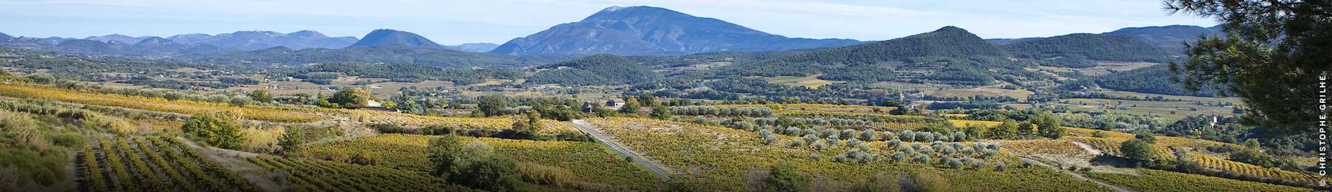 Image for Rhône Wine France content section