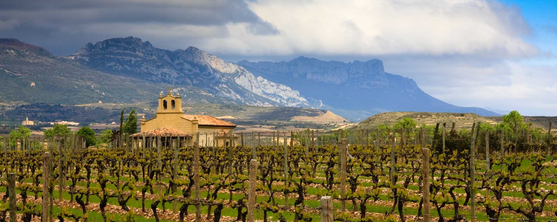 Image for La Mancha Wine Spain content section