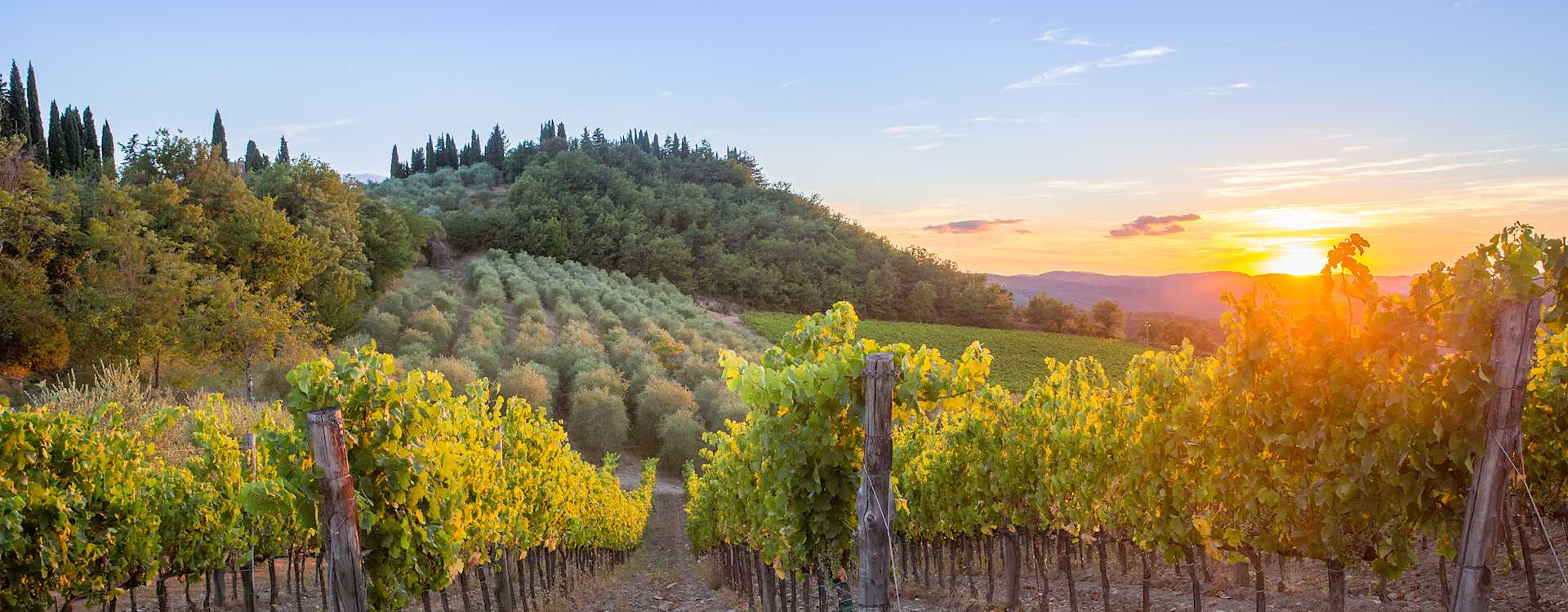 Image for Chianti Classico Wine Tuscany, Italy content section