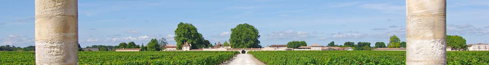 Image for Bordeaux Wine France content section