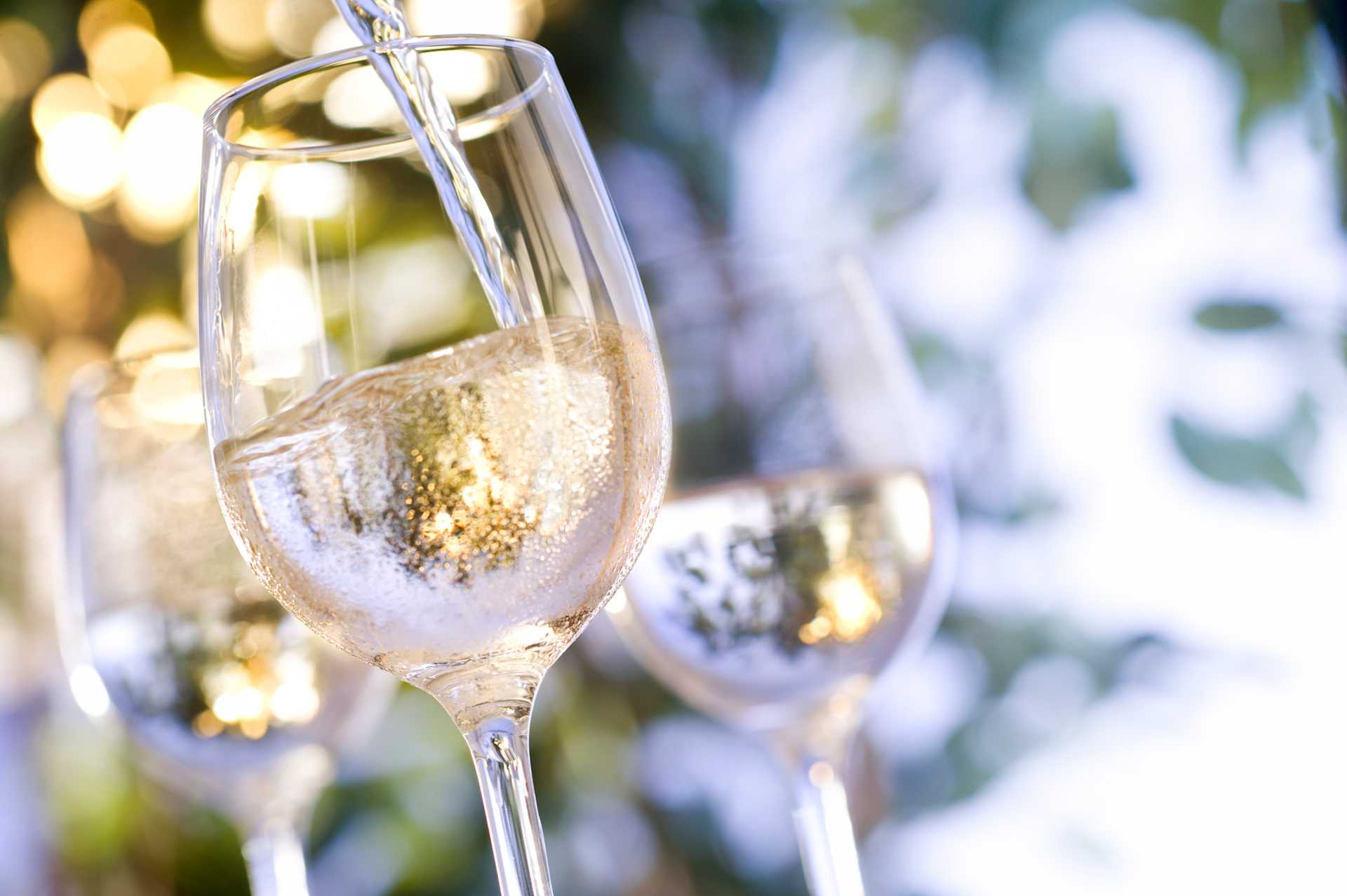 Dry White Wine banner image