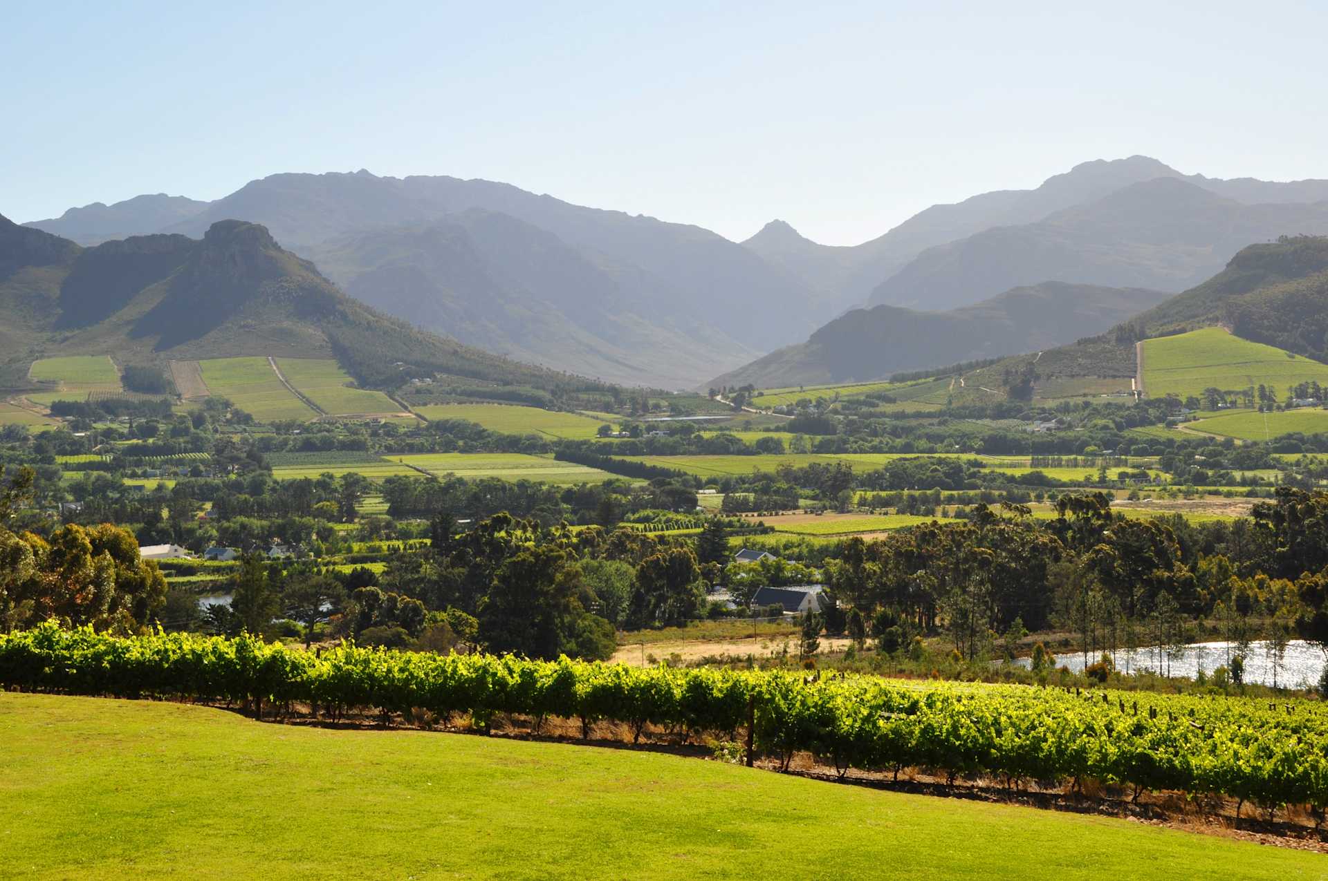 Image for Constantia Wine South Africa content section