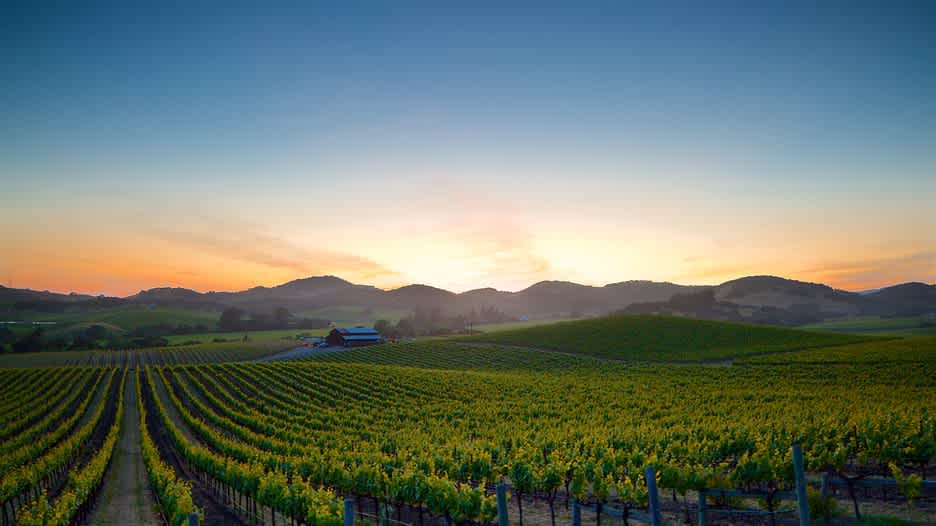 Image for California Cabernet Sauvignon content section