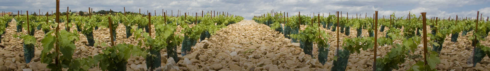 Image for Châteauneuf-du-Pape Wine content section
