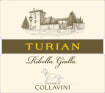 Eugenio Collavini Turian Ribolla Gialla 2015 Front Label