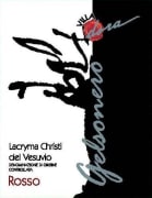 Villa Dora Christi del Vesuvio Rosso Gelsonero Lacryma 2005 Front Label