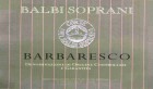 Corte dei Balbi Soprani Srl Barbaresco 2008 Front Label