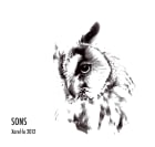 Sicus Sons Xarel-lo 2012 Front Label