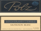 Weingut Erich & Walter Polz Hochgrassnitzberg Grosse STK Lage Sauvignon Blanc 2013 Front Label