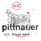 Weingut Gerhard and Brigitte Pittnauer Dorflagen Pinot Noir 2014 Front Label