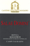 Cantine Caggiano Irpinia Salae Domini Aglianico 2006 Front Label