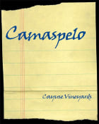 Cayuse Camaspelo 2020  Front Label