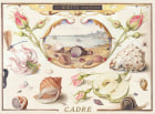 Cadre Sea Queen Albarino 2021  Front Label