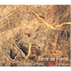 Luneau-Papin Muscadet Terre de Pierre 2020  Front Label
