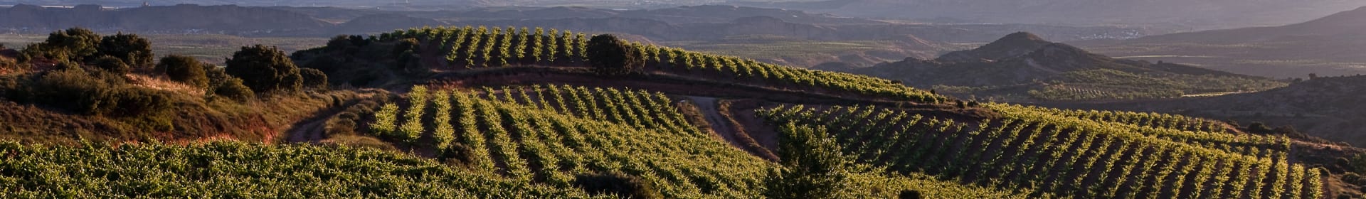 Bodegas Ontanon