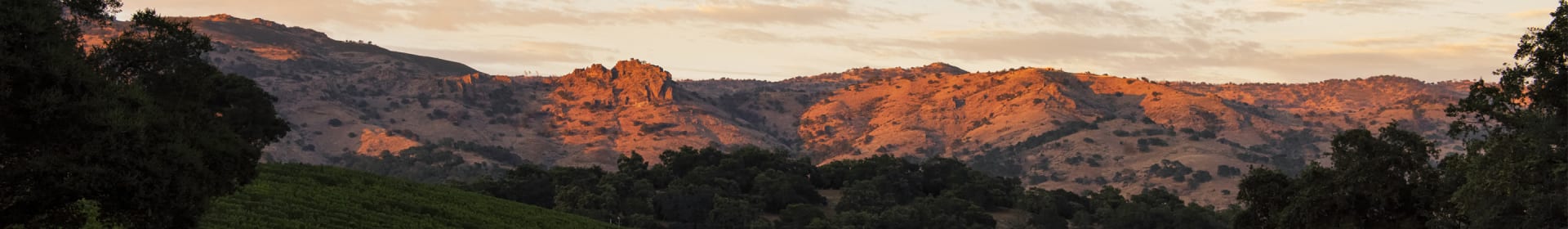 Realm Cellars