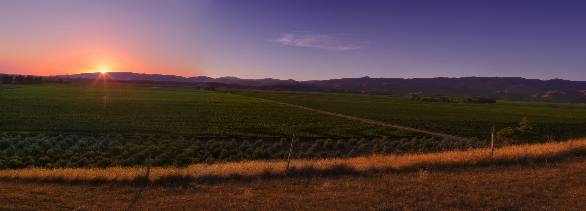 Dog Point Vineyard