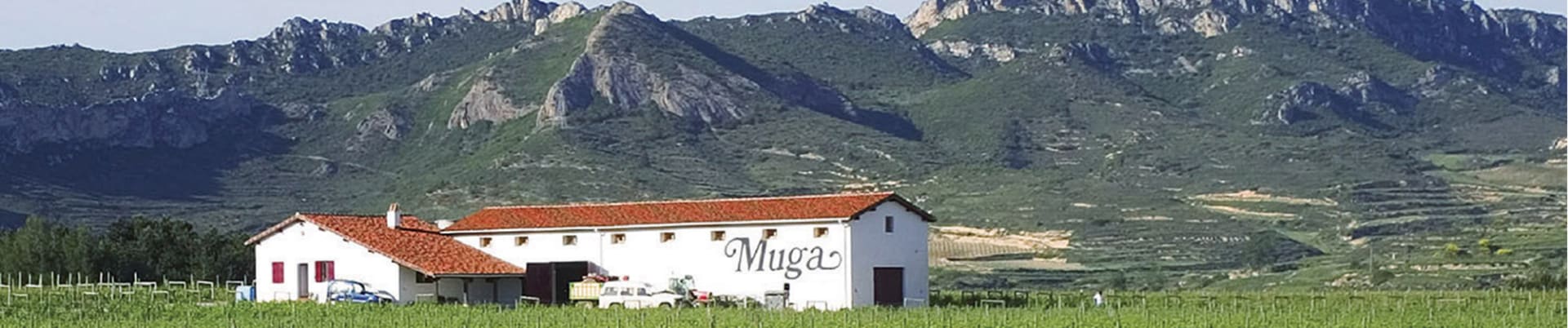 Bodegas Muga