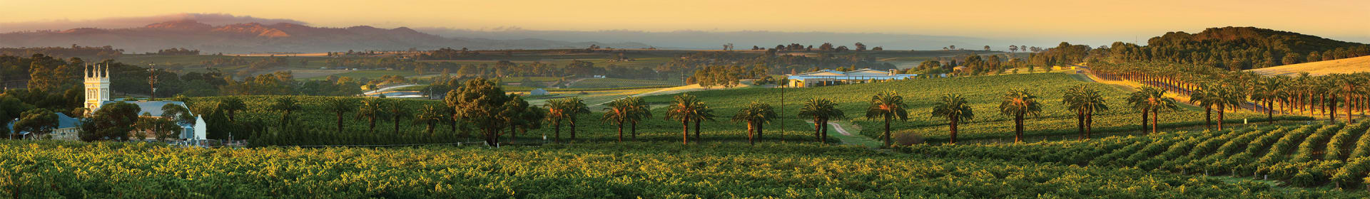 Barossa Valley Estate