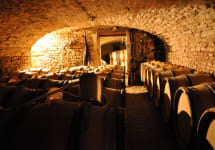 Domaine Saumaize-Michelin Winery Image