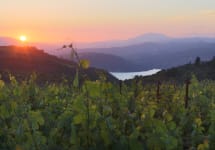Continuum Sage Mountain Vineyard - Lake Hennessey Winery Image