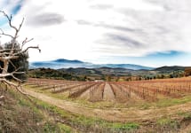 Val di Suga Poggio Al Granchio Vineyard Winery Image
