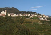 Maso Canali Winery Image