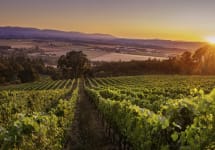 Averaen Bois Joli Sunset Winery Image