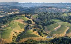 WillaKenzie Estate Taking root in the Willamette Valley Winery Image