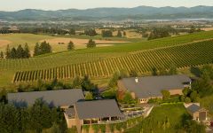 WillaKenzie Estate Dirt Matters Winery Image