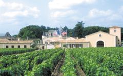 Chateau Haut-Brion Haut -Brion Vineyards Winery Image