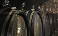 Zilliken Zilliken Barrels in the Cellar Winery Image