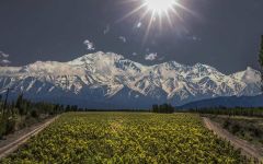 Catena Vineyards at High Altitude Winery Image