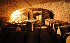 Domaine Saumaize-Michelin Winery Image