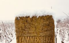 Weingut Friedrich Becker  Kammerberg Vineyard in Winter Winery Image