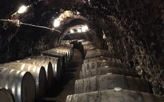 Royal Tokaji Wine Company Royal Tokaji 13th Century Cellar Winery Image