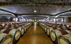 Chateau Smith Haut Lafitte Red Wine Cellar Winery Image